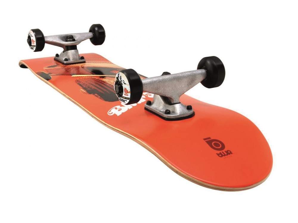 Skateboard Skola