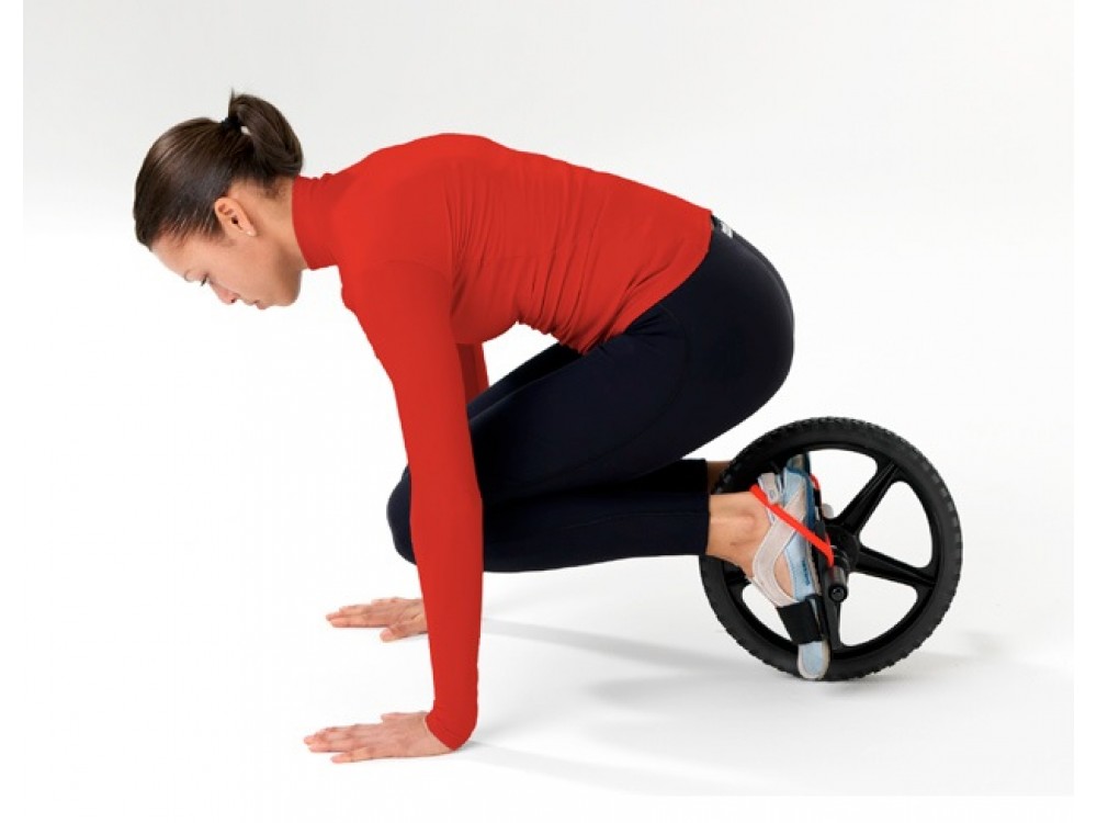 Ab power deals wheel
