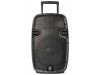 Fenton portabel högtalare 12 eller 15 tum Bluetooth