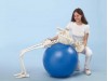 Skeleton Hugo With Movable Spine