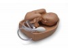 Advanced Childbirth Simulator