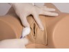 Bladder Catheterization Simulator Florence Female