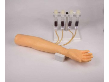 Training Arm For Intravenous Injection And Infusion