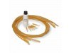 Training Arm For Intravenous Injection