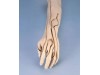 Training Arm For Intravenous Injection