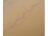 Skin Suture Trainer